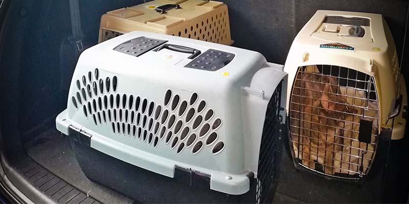 Noticias: Periodista Manuel Flores