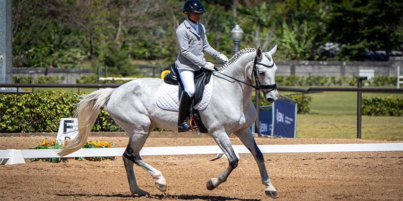 Noticias: Periodista Manuel Flores