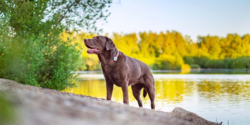 Negocios: Periodista Manuel Flores