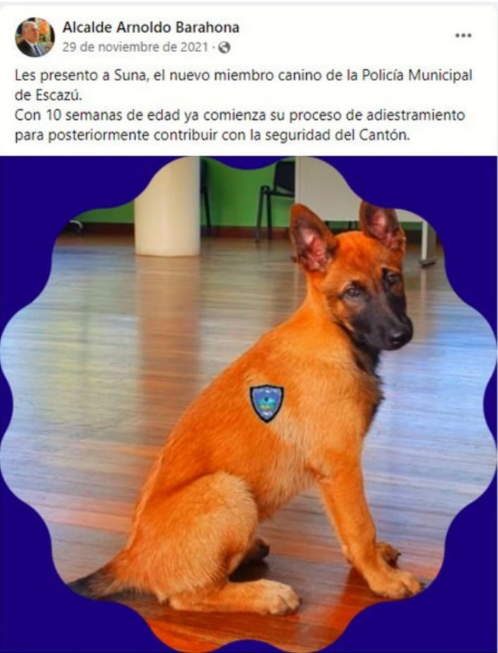 PUBLICACIÓN PERRO POLICIA