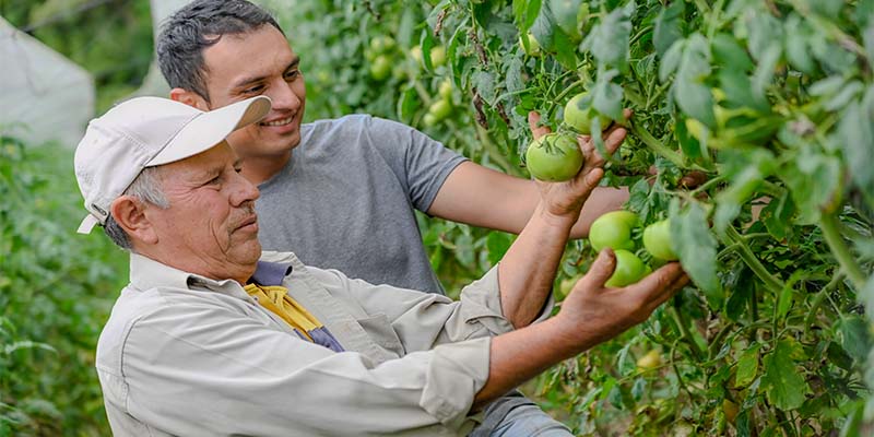 Nacionales: Periodista Manuel Flores