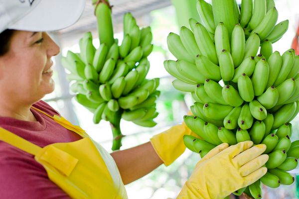 Negocios: Periodista Manuel Flores